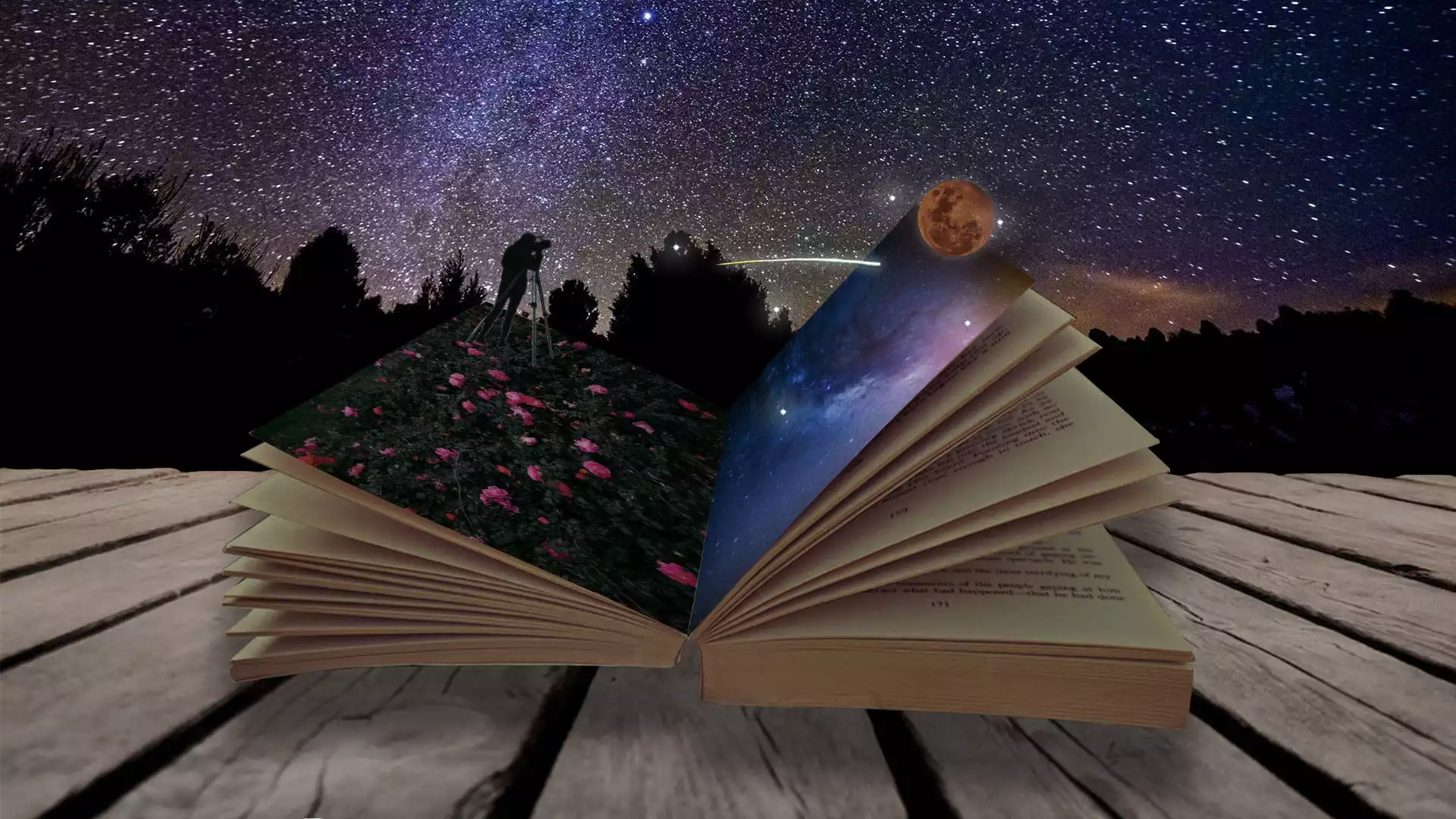 Livre photoshop